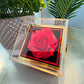 Tell her, she's your Queen- Forever love necklace with rose box